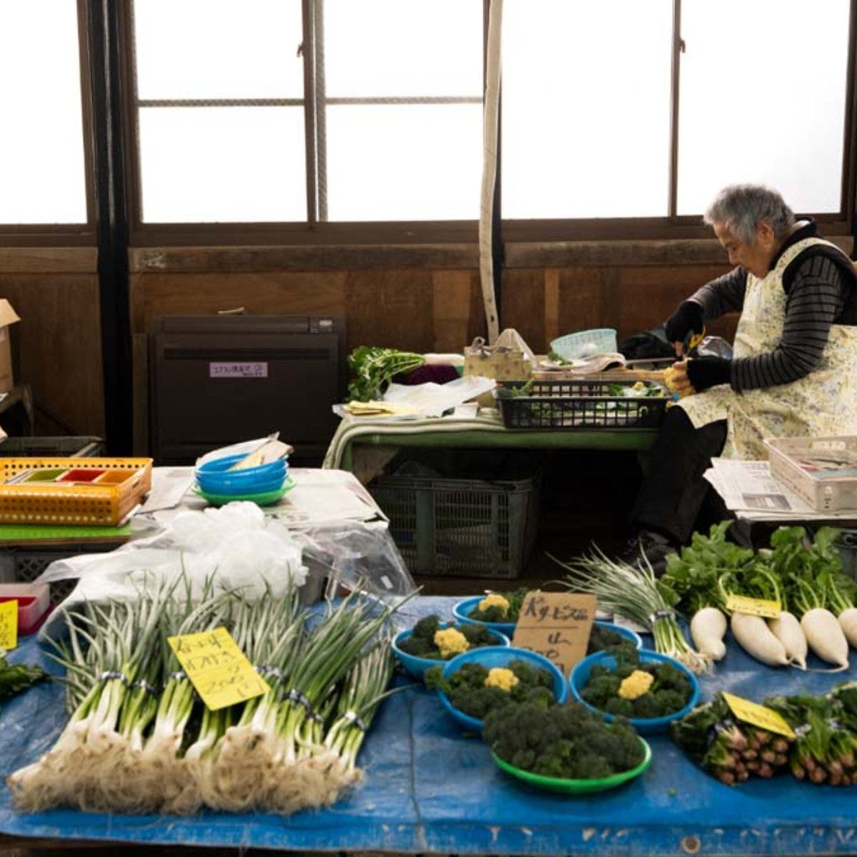 【レンバイコース】鎌倉の日常体験！定番のお買い物ルートを巡り、新鮮な鎌倉野菜や絶品定食に出会う