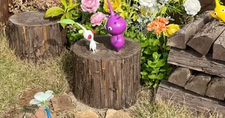 あっちこっちにピクミン発見！広島のちょっと変わったサービスエリアはコラボカフェや限定グッズもかわいすぎっ