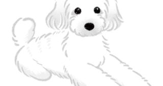 猫たちに混じった唯一の犬メロ。みんな違う生き物だけと共に生きる家族です。/犬からの手紙が教えてくれたこと（3）