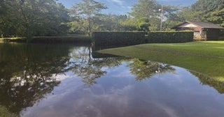 2階から浸水、池の氾濫……豪雨に襲われた千葉県ゴルフ場「被害と営業再開」のリアル