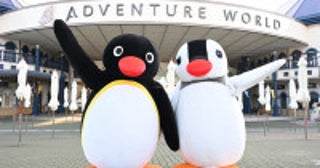 アドベンチャーワールド×『ピングー』コラボ第2弾！巨大バルーンや限定グッズなど展開へ