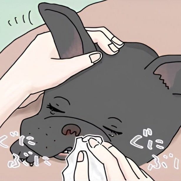【愛犬の死】「悲しくても、涙が出ない状況がある」玄関で待っていてくれた愛犬がいない…涙があふれてきた瞬間に共感の声【作者に聞く】