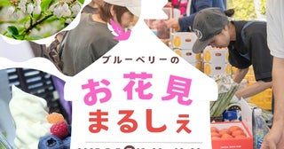 5月5日はブルーベリーのお花見へベリーズパーク郡山で108品種2千本満開