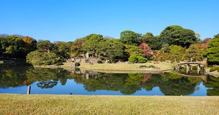 東京の和歌の浦で書写体験和歌の庭六義園で10月14日に開催