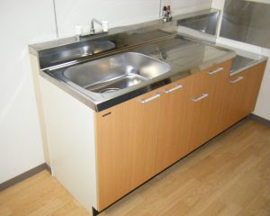 夏前にしておくべき「家のゴキブリ対策」を専門業者に聞いた。“部屋への侵入経路”や“効果のない対策”が明らかに
