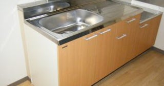 夏前にしておくべき「家のゴキブリ対策」を専門業者に聞いた。“部屋への侵入経路”や“効果のない対策”が明らかに