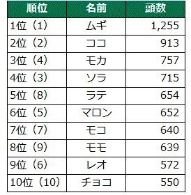 「犬の名前ランキング2024」を発表！今や「ムギ」は代名詞、「デコピン」、「ショウヘイ」は何位？