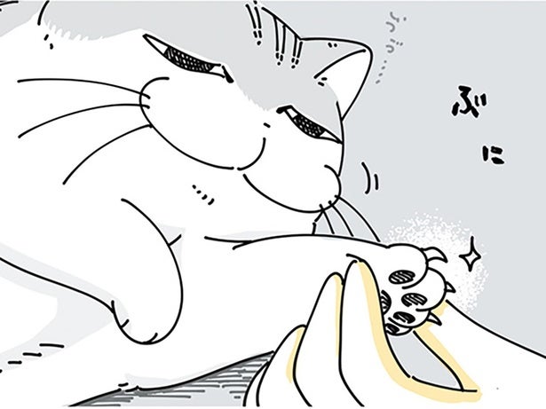 飼い主は知っている！ネコが嫌がる爪切り、スムーズにやれるタイミングは