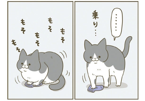 乗り乗り、もそもそ。飼い主が落とした靴下の上で困惑している猫