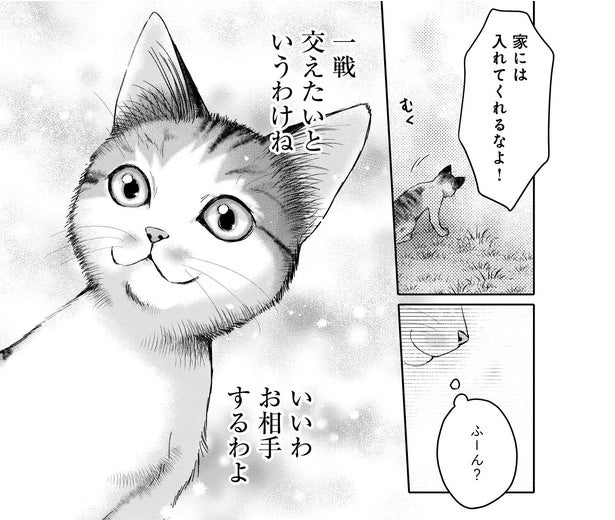 【漫画】人間は猫による家の乗っ取りを防ぐことはできるのか…猫 vs 猫嫌いな男性のガチンコ対決に「これ以上の負け戦はない」の声