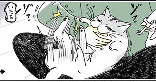 爪切りを嫌がる猫の抵抗。「今日はおしまいね」解放したのになかなか退かない