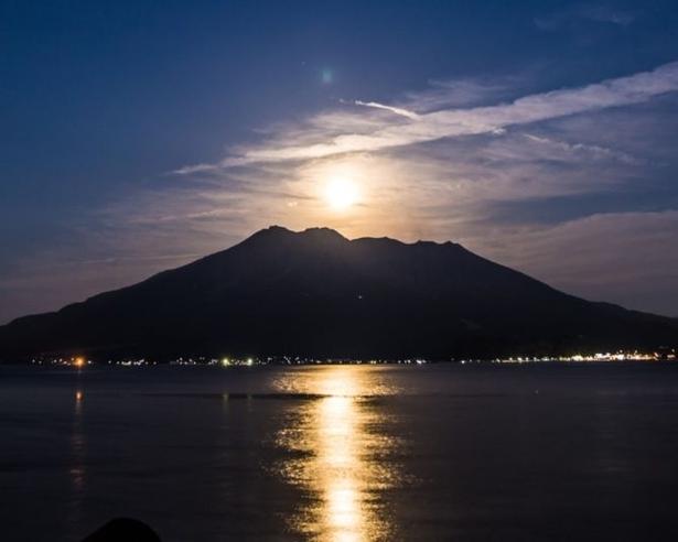 条件を満たせば現れる幻想的な“月の道”！桜島から夜の海に伸びる光の道に絶句!!知る人ぞ知る夜景スポット【無料展望室シリーズvol.19】