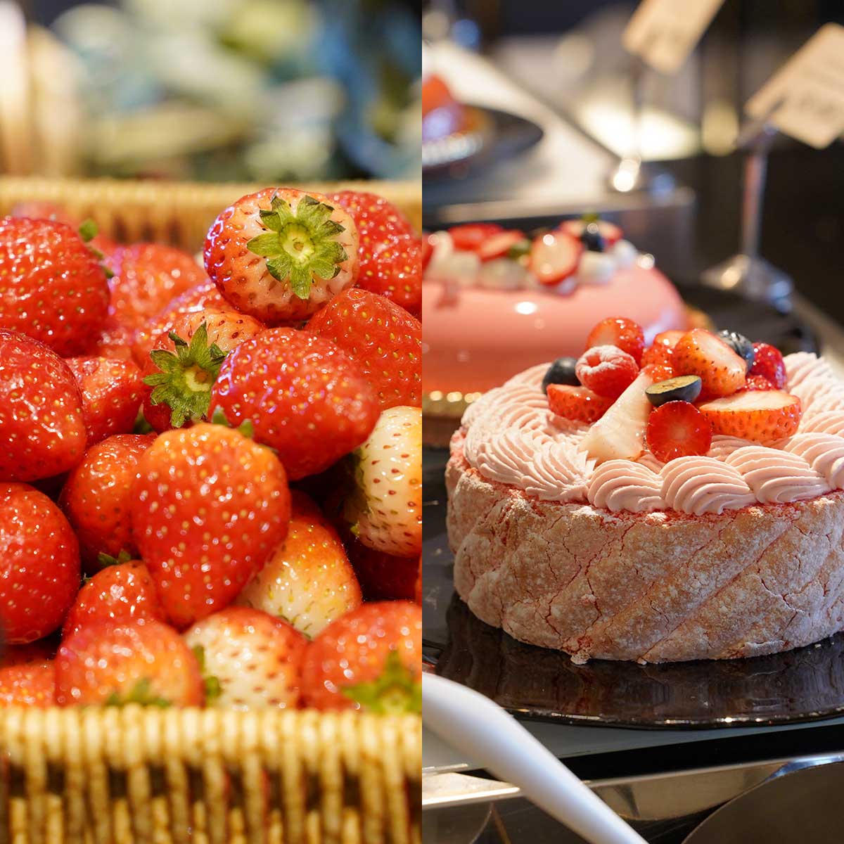 ヒルトン横浜で、魅惑のいちごスイーツビュッフェ！生いちご食べ比べ、美麗ケーキ、生絞りモンブランなど、豪華いちご尽くし