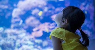 【実録】子どもが「幼稚園の遠足」で水族館に！→入館料150円なのに遠足代「4400円」も請求されたけど、どうしてそんなに高くなるの？ 内訳を確認