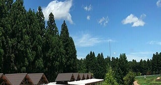バーベキュー後は天然温泉を堪能！大自然に囲まれた農園リゾートで森遊び。千葉県香取市「THE FARM」【千葉・香取（香取市）】