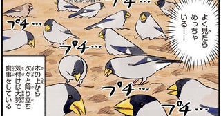 黄色いくちばしがおもちゃみたい！地面を見たら、めっちゃいるイカル