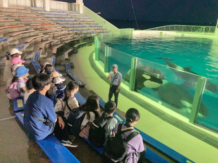 夏休み、夜の鴨川シーワールドで裏側探険マザー牧場やフィールドアスレチックも楽しむ2泊3日の子ども向けプログラム
