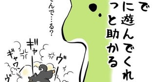 柴犬兄妹のケンカがまるで子育て!? 「うちの兄弟も同じ！」「猫も同じ！」と“子”を育てる親たちの共感祭り、勃発【作者に聞く】