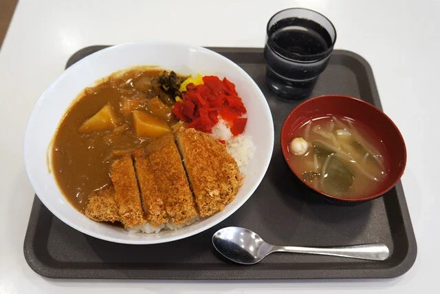 【カツカレー】なぜ僕は、公共の食堂でいつもカツカレーを注文してしまうのだろうか：パリッコ『今週のハマりめし』第212回