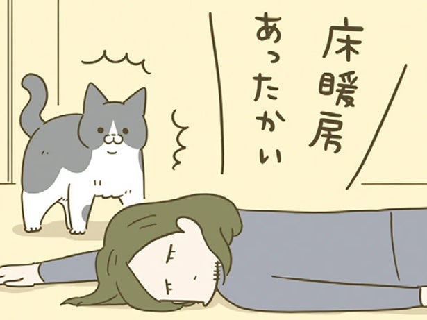 「いつもここで寝ないのに」飼い主が床に転がってる!? イレギュラーが発生したときの猫