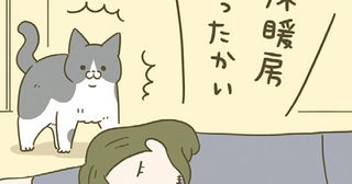 「いつもここで寝ないのに」飼い主が床に転がってる!? イレギュラーが発生したときの猫
