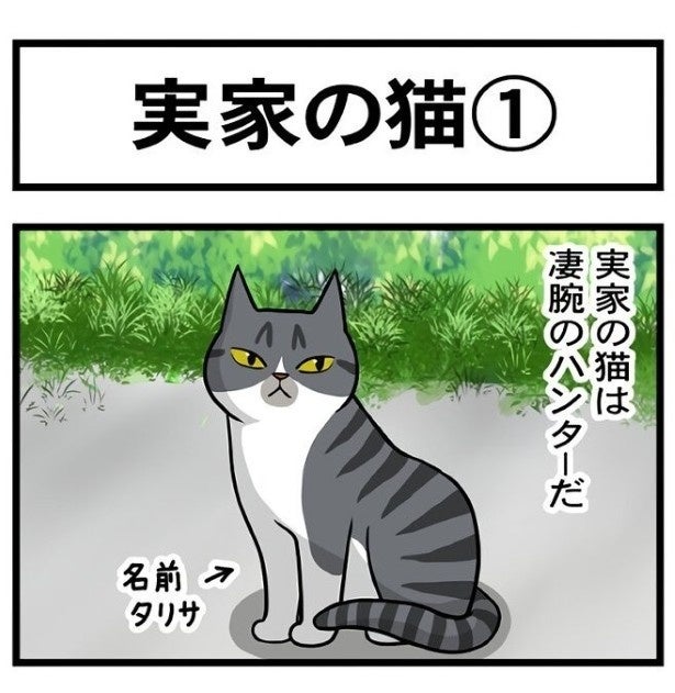 猫好き必見！深夜に「見ろ下僕ども!!」と自慢する元野良猫→父の足首まで噛む凄腕ハンター【作者に聞く】
