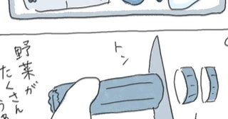 畑で収穫したズッキーニでラタトゥイユ。試食したら大事な書類にシミを作ってしまい…？／ときどき丁寧に暮らしたい（12）