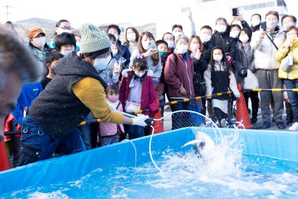 伊豆半島の特産品を安価で買える大物産市「第32回伊東温泉めちゃくちゃ市」を開催