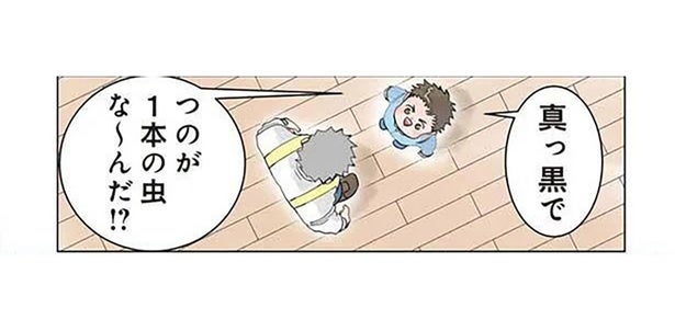 正解がバレバレ!? 誰でも当てられる園児のカブトムシクイズ／保育士でこ先生2（18）