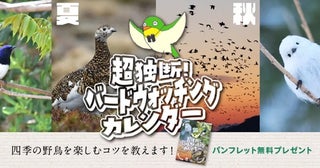 日本野鳥の会が、パンフレット『超独断！バードウォッチングカレンダー』をプレゼント