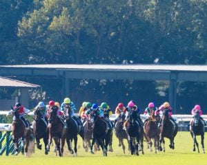 競馬“真夏開催”に浮上した新たな問題…猛暑でも「ポロシャツ禁止」の服装規定に疑問の声