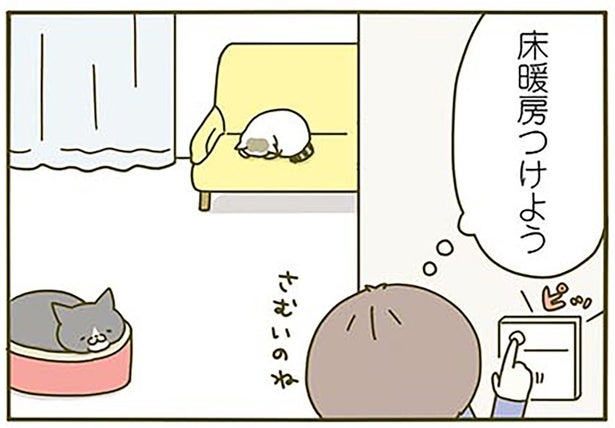 「床暖房つけよう」寒がる猫たちを見た数分後、ぬくぬく床が誕生するけれど