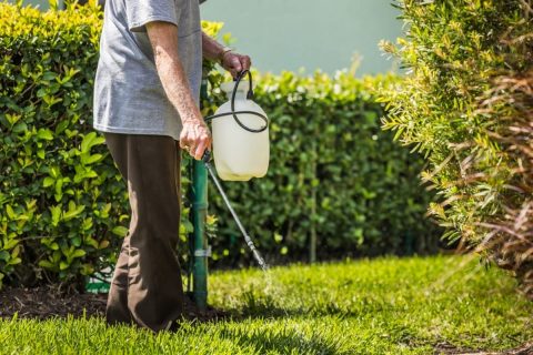 “隣の空き家”が「ドクダミだらけ」で、わが家の敷地に侵入！ お隣にも「除草剤」をまいて“根絶やしにしたい”ですが、勝手な散布は「器物損壊罪になる」って本当ですか!? リスクと対処法を確認