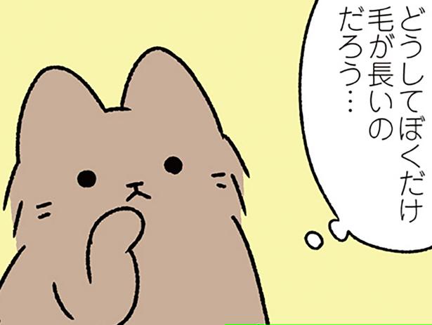 【みにくいアヒルの子なねこ】素朴な疑問。どうして自分だけ容姿が違うんだろう
