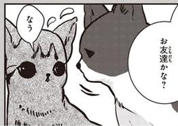 飼えないけど猫たちを守りたい。地域猫として世話をする「TNR活動」とは／スローステップ朔太郎 上（2）