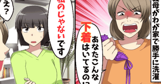 義母「なにこの派手な下着」私「私のじゃないです♡」勝手に洗濯し激怒→何枚も…震える夫！衝撃の真実