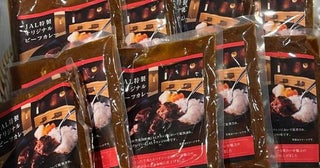 「JAL特製オリジナルビーフカレー」、100万食突破記念で松下奈緒さんのトークイベント開催
