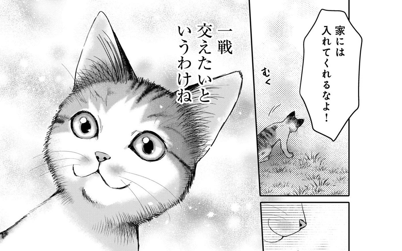 猫の可能性に限界はない！猫ならみんな持ってる「乗っ取り本能」って？【猫語の教科書 Vol.3】