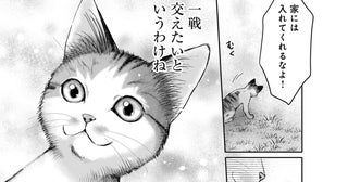 猫の可能性に限界はない！猫ならみんな持ってる「乗っ取り本能」って？【猫語の教科書 Vol.3】