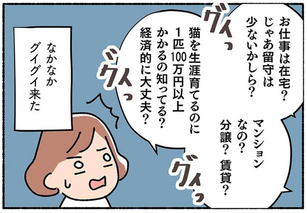 「里親希望」と伝えたら別室に通されドキドキ。尋問のような面談の後、驚きの提案が！／ねこ活はじめました（6）