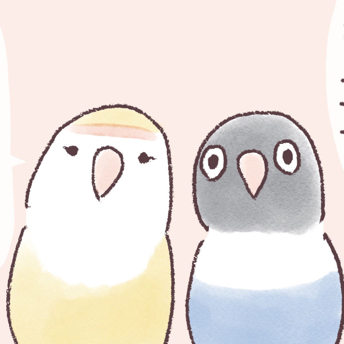 インコのピッチとポッチ。ふたりと暮らして10年になりました。／うちのインコたちは今日もおしゃべり（プロローグ）