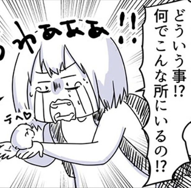 【行方不明】「ナッツちゃんがいない！」愛ハムがゲージのどこにも見当たらない→3日間の行方不明の果ての結末…【作者に聞く】