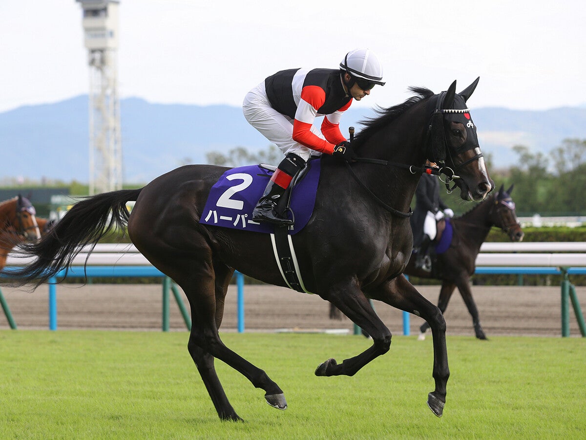 【競馬予想】エリザベス女王杯は本命を出し抜いて一発を狙うトップ騎手がズラリ！ なかでも注目は？