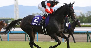 【競馬予想】エリザベス女王杯は本命を出し抜いて一発を狙うトップ騎手がズラリ！ なかでも注目は？