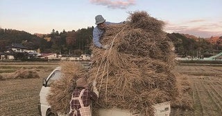 【東京都新宿区】小中高生を対象としたアイデム写真コンテスト「はたらくすがた」の入選作品展開催