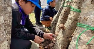 北海道白老町で短期保育プラン開始移住やワーケーションを希望する家庭が対象