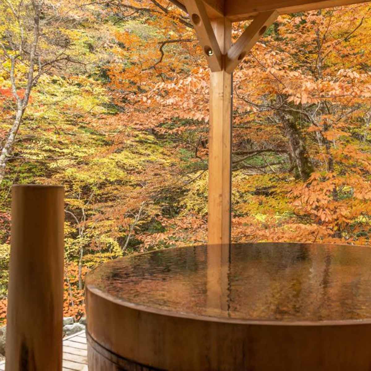 秋・冬の温泉一人旅を1万円台～でお得に。露天風呂付き客室やお部屋食で自分にご褒美