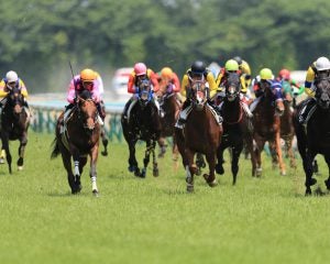 WIN5で1354万円的中。話題の馬券師クロサキが明かす「競馬は教育であり遺伝」異色のルーツ