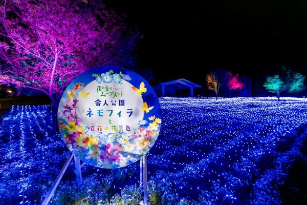舎人公園が青に染まる「花と光のムーブメント」4月26日まで開催中