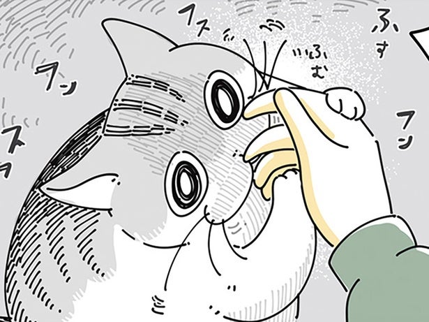 なでなでをかわして入念に匂いを嗅ぐネコ。飼い主の手が気になるんですか？